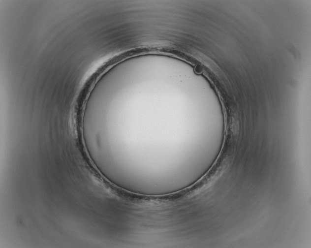 X0000114151022200910221542