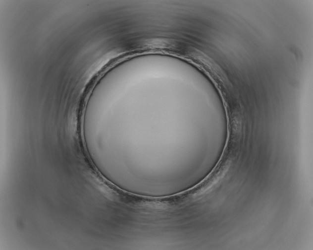 X0000114151023200910221542