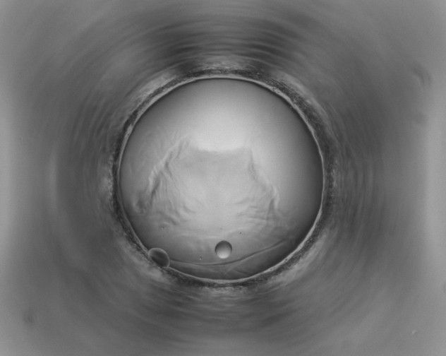 X0000114151025200910221542