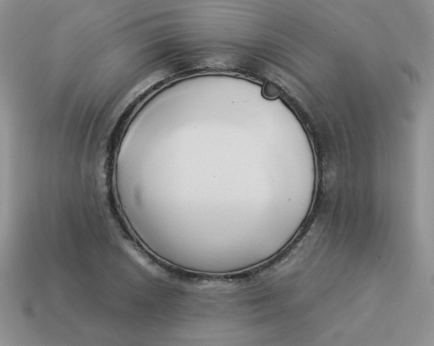 X0000114151026200910221542