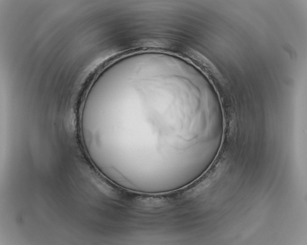 X0000114151027200910221542