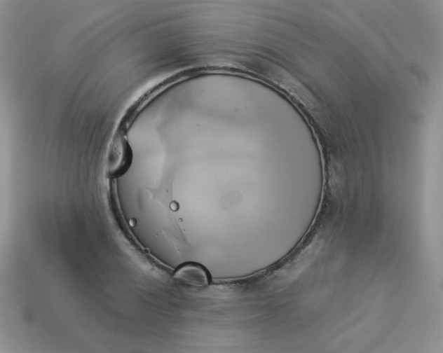 X0000114151028200910221542