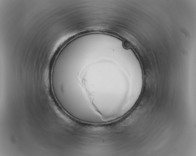 X0000114151030200910221542