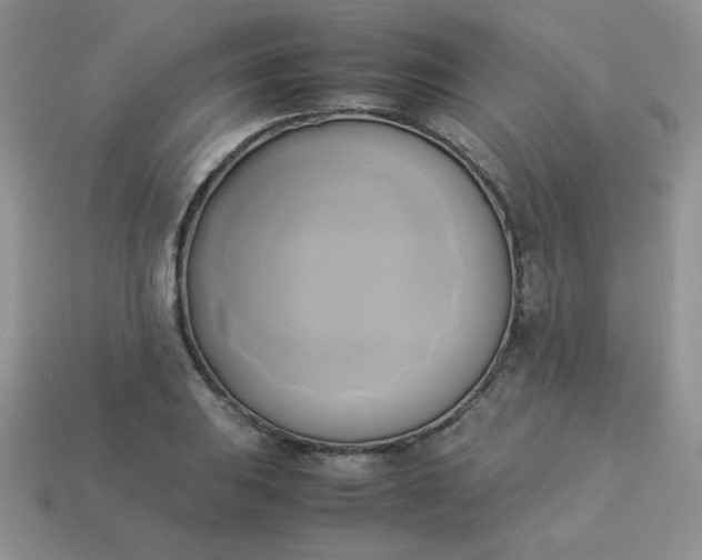 X0000114151031200910221542