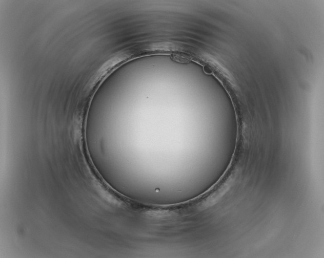 X0000114151033200910221542