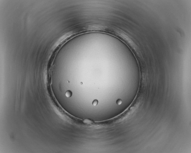 X0000114151034200910221542