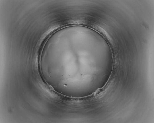 X0000114151035200910221542