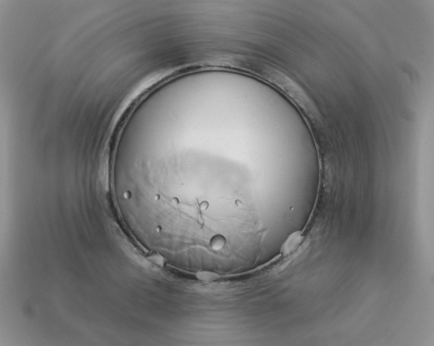 X0000114151036200910221542