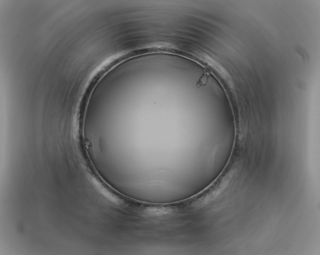 X0000114151037200910221542