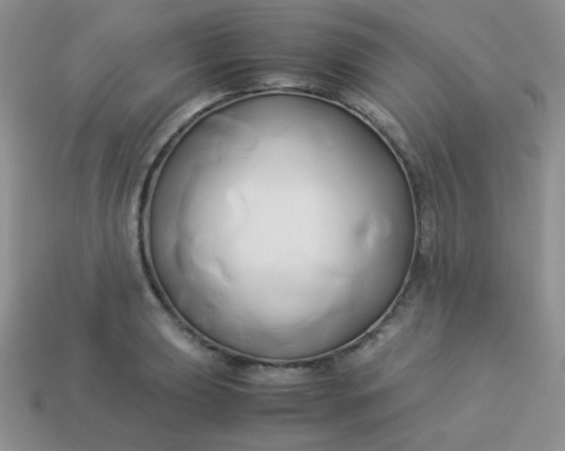 X0000114151039200910221542