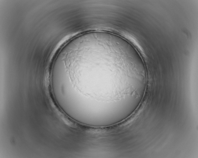 X0000114151040200910221542