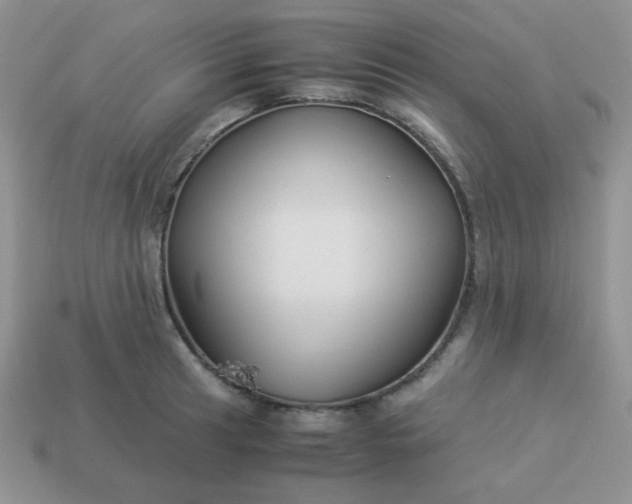 X0000114151041200910221542