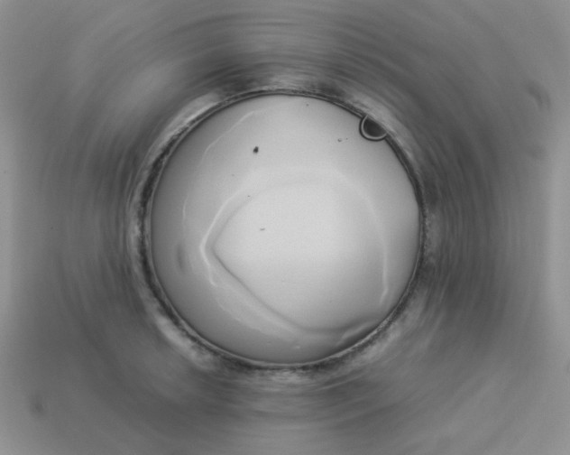 X0000114151042200910221542