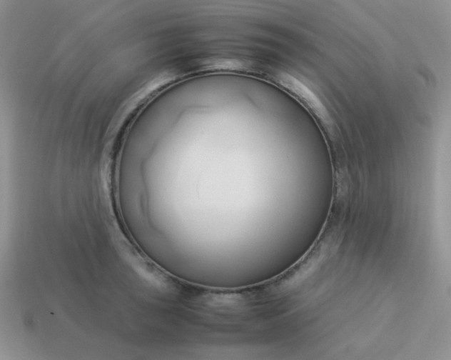 X0000114151043200910221542