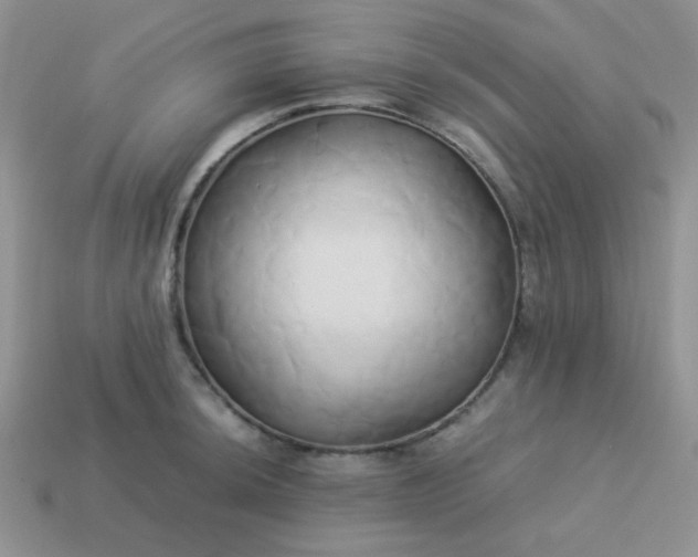 X0000114151044200910221542