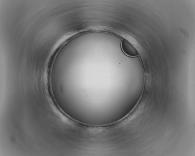 X0000114151046200910221542