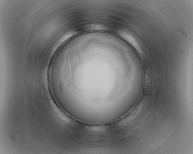 X0000114151047200910221542