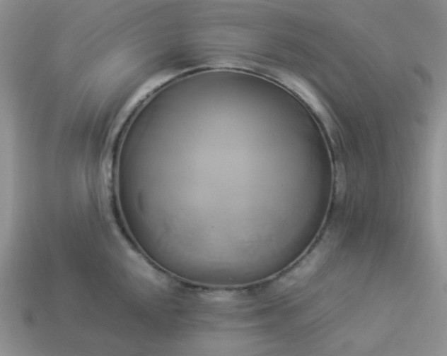 X0000114151048200910221542