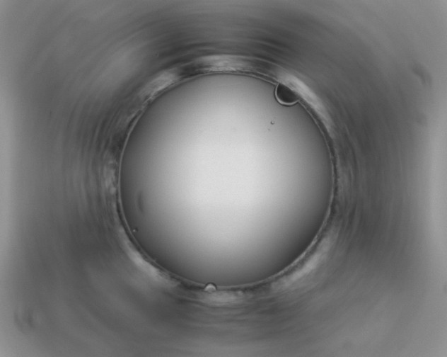 X0000114151049200910221542