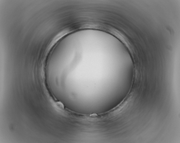 X0000114151050200910221542