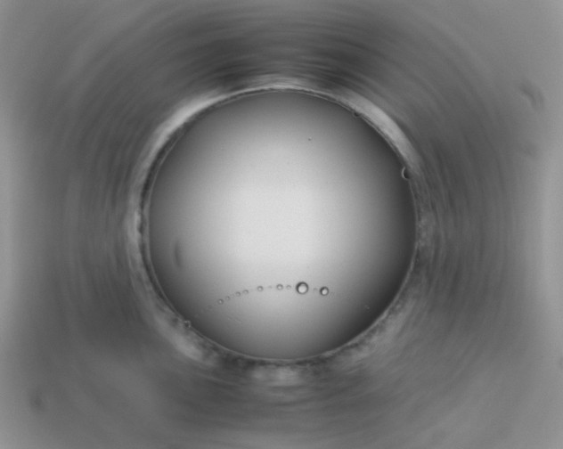 X0000114151051200910221542