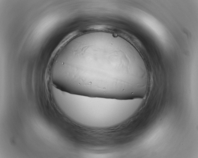 X0000114151052200910221543