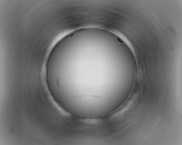 X0000114151053200910221543