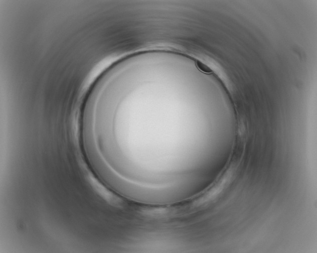 X0000114151054200910221543