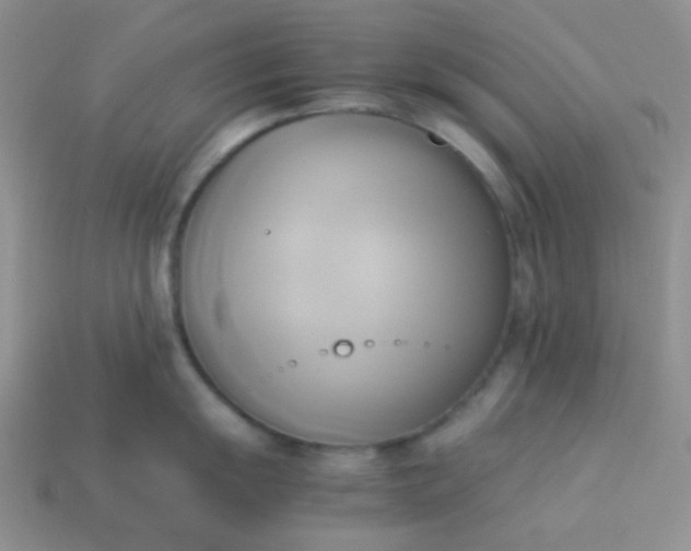 X0000114151055200910221543