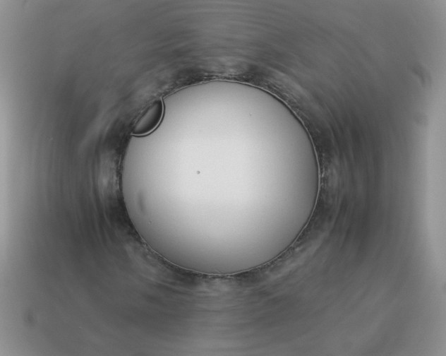 X0000114151058200910221542