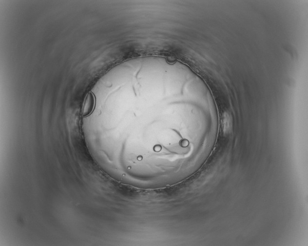 X0000114151059200910221542