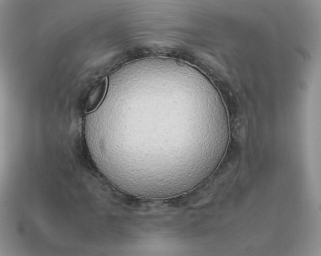 X0000114151061200910221542