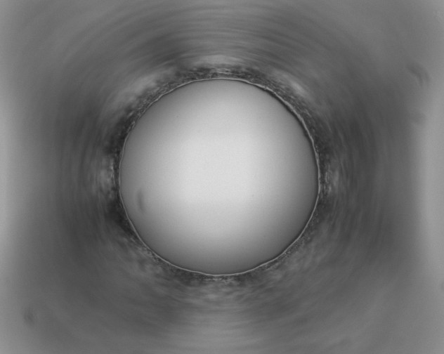 X0000114151062200910221542