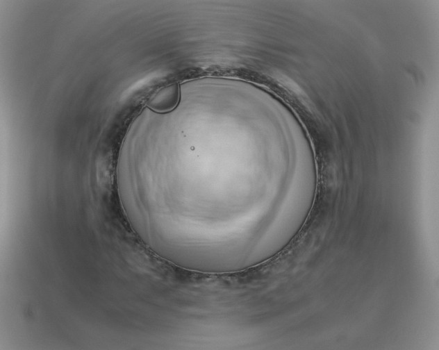 X0000114151063200910221542