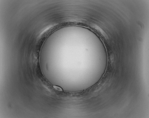 X0000114151064200910221542