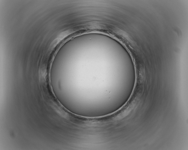 X0000114151065200910221542