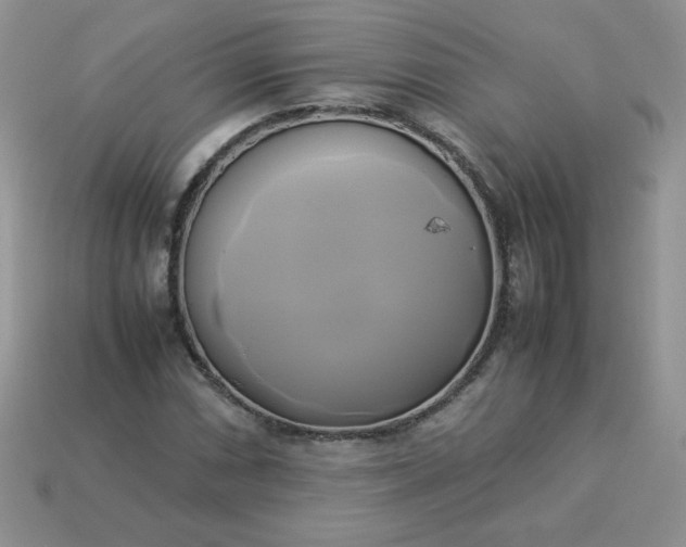 X0000114151066200910221542