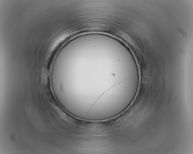 X0000114151067200910221542