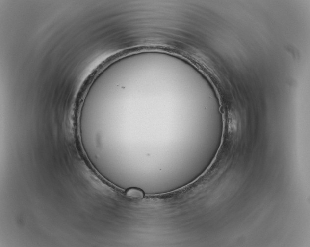 X0000114151068200910221542