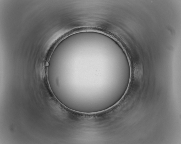 X0000114151069200910221542