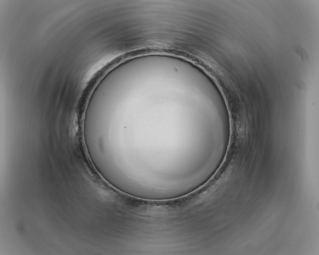 X0000114151070200910221542