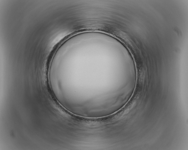 X0000114151071200910221542