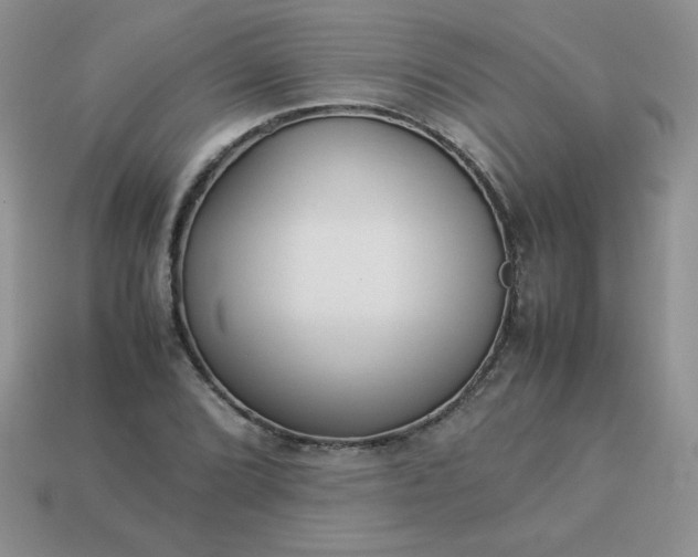 X0000114151072200910221542