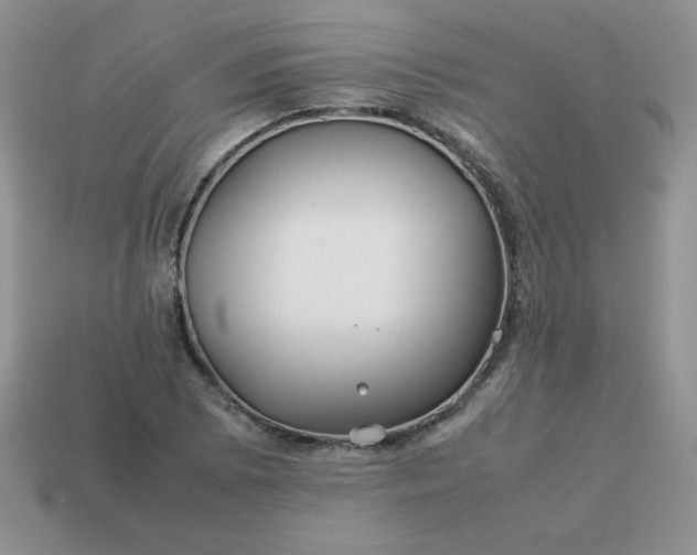 X0000114151073200910221542