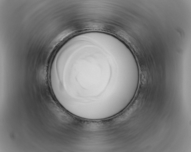 X0000114151074200910221542