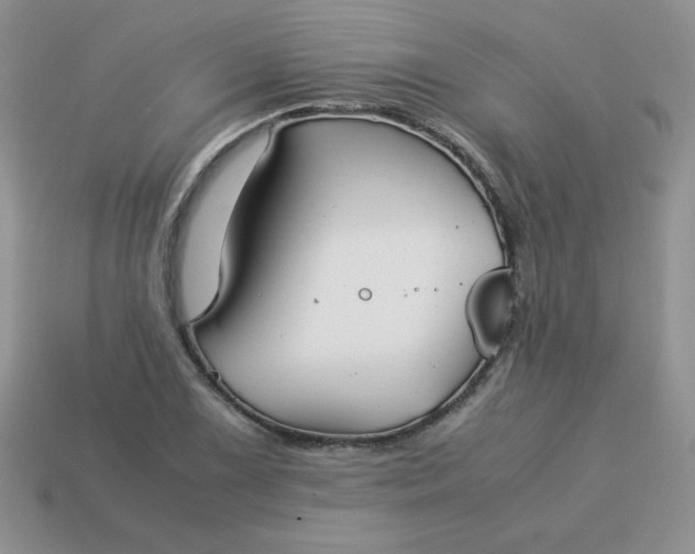 X0000114151075200910221542