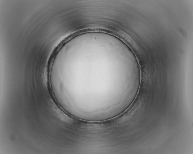 X0000114151076200910221542