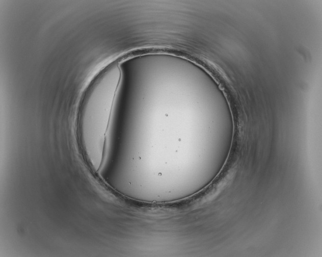 X0000114151077200910221542