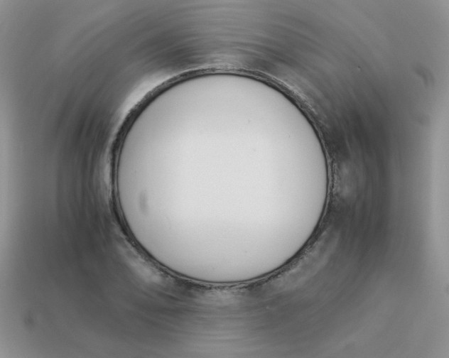 X0000114151078200910221542