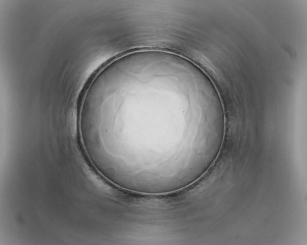 X0000114151079200910221542